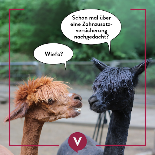 ERGO Versicherung Plauen Geschäftsstelle Marcel Burkhardt - Thumbnail