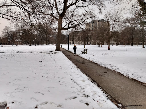 Denney Hall - Visual
