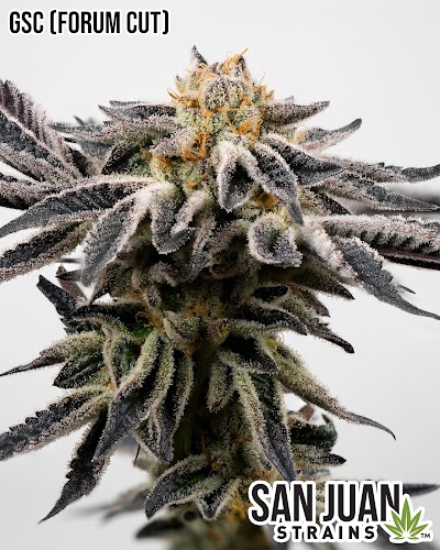 San Juan Strains, Inc.