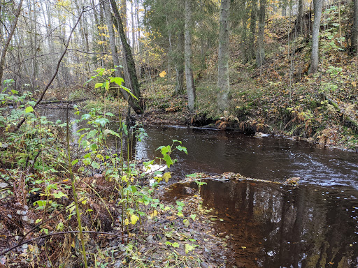 Hökesån