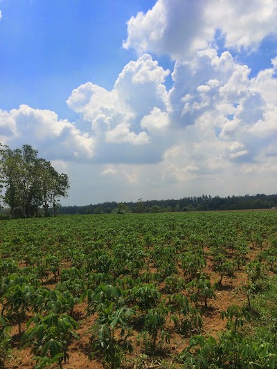 Photos of SPBU Sukadana