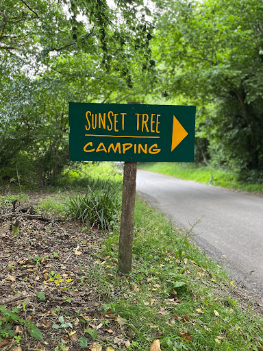 Sunset Tree Camping - Visual