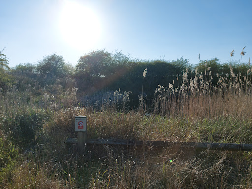 Fiskerton Fen Nature Reserve - Thumbnail