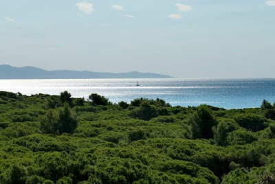 Photos of Hotel Residence Roccamare