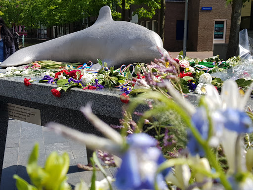Het monument De Dolfijn Gallery - Netherlands