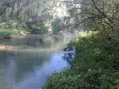 Alanyurt çekerek ırmağı