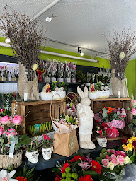 Photo n°1 de Fleuriste Etaples à Étaples (Fleuriste)