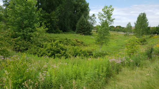 Bailey's Arboretum Preserve