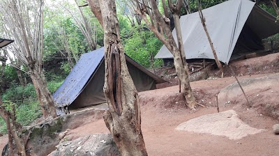 Photos of Meemure Forest Lodge & Camp site
