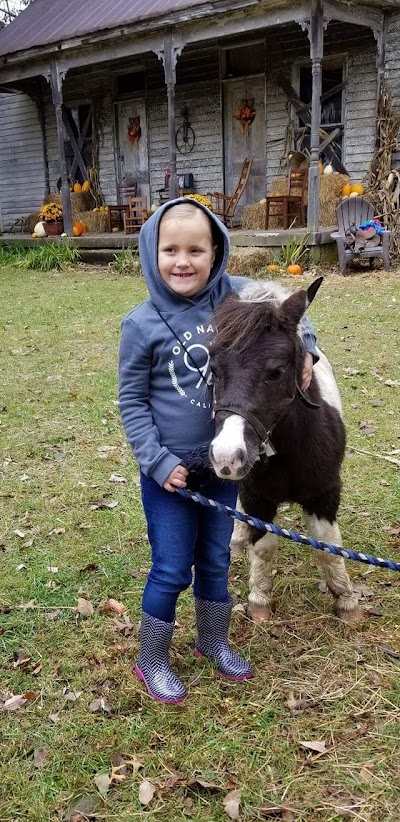 Drake Ridge Farms U-Pick Pumpkin Patch & Mini Petting Zoo