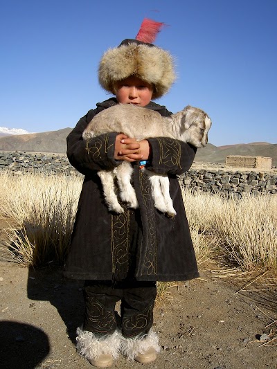 Photos of DMD Discover Mongolia and Development