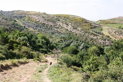 Drenije Gorge