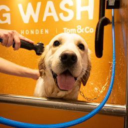 Photo n°36 de Tom&Co Faches à Faches-Thumesnil (Dresseur pour chiens)