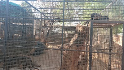 Photos of Bester Birds Zoo