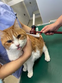 マーハ動物病院