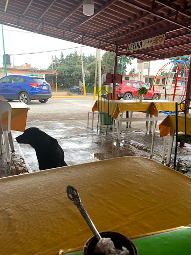 Tacos Y Barbacoa Y Comida Corrida Doña Blanca