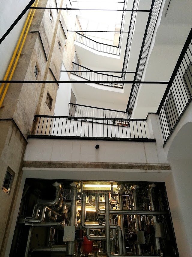 Palazzo Rhinoceros