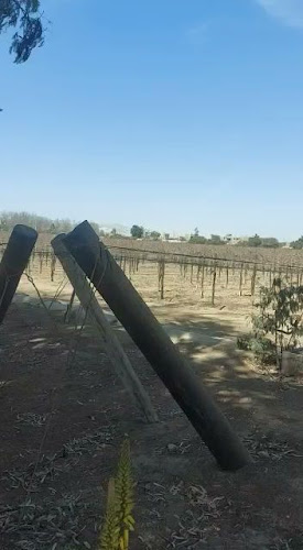 Bodegas Vista Alegre - Tienda