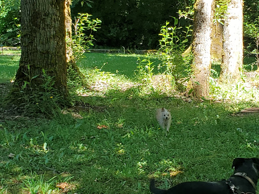Crabtree Park - Thumbnail