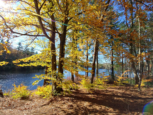 Rutland Park Area - Thumbnail