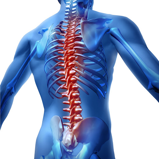 Atherley Physiotherapy Clinic - Thumbnail