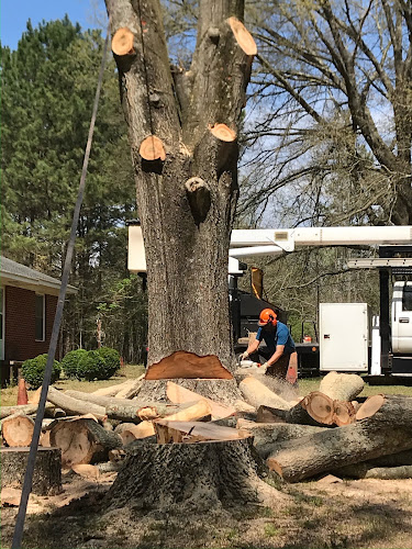 Treemasters by Doc Locklear