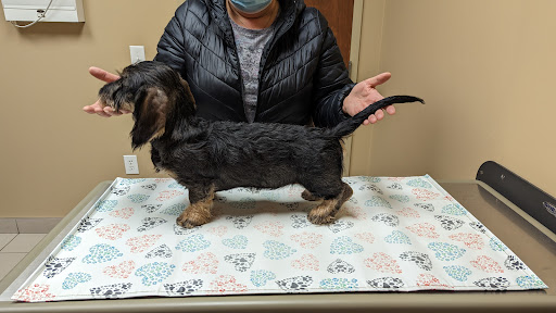 Allandale Veterinary Hospital - Thumbnail