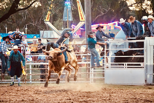 Coonabarabran Show Ground - Thumbnail