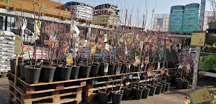 Photo n°12 de Weldom Contact Saint Mars La Jaille à Vallons-de-l'Erdre (Magasin de peinture)