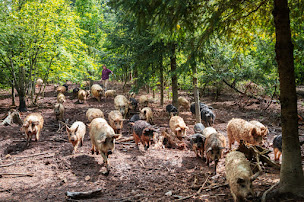 Photo n°3 de Domaine du Catié à Le Rialet (Restaurant)