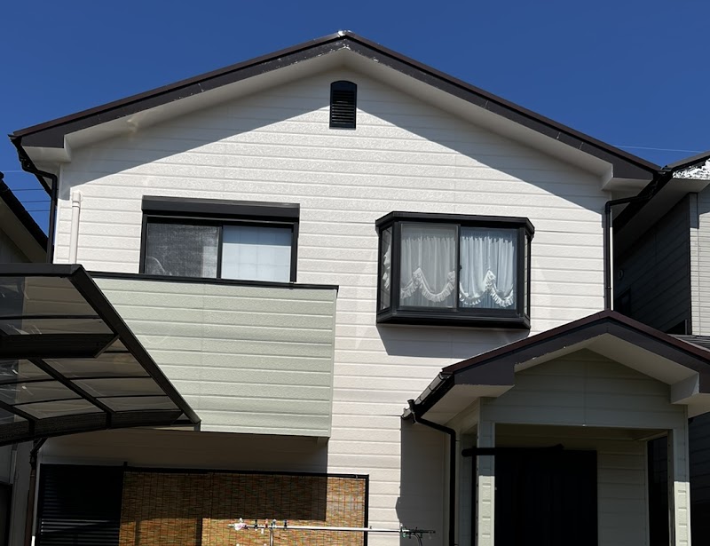 穂塗装（ミノルトソウ）