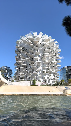 Avis sur L’Arbre Blanc à Montpellier - Architecte