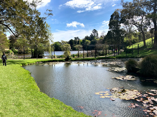 Virginia Lake Aviary - Thumbnail