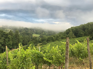 Photo n°2 de chateau les roussets à Pineuilh (Vignoble)