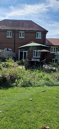 Copse View - Visual