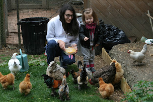 Photo n°11 de Aire Naturelle de Camping La Ferme aux Cerisiers à Maclas (Service de location de tentes)