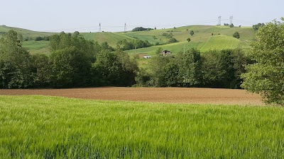 Photos of Z&uuml;beyde Hanım Forest