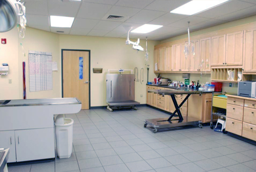 VCA Daniel Webster Animal Hospital - Thumbnail