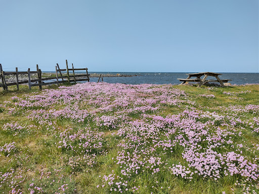 Petters brygga Gallery - Sweden