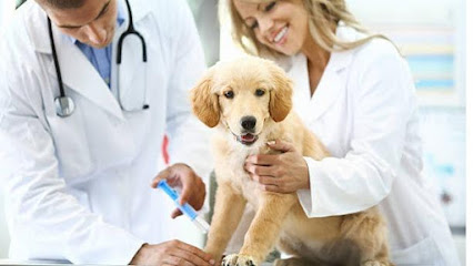 Veterinaria Animal City