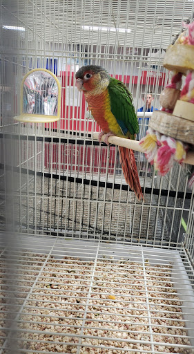 Uncle Bill's Pet Centers Fort Wayne - Thumbnail