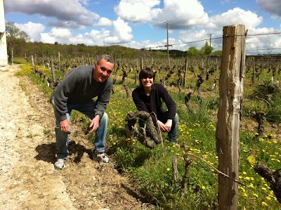 Photos of Windham Wines