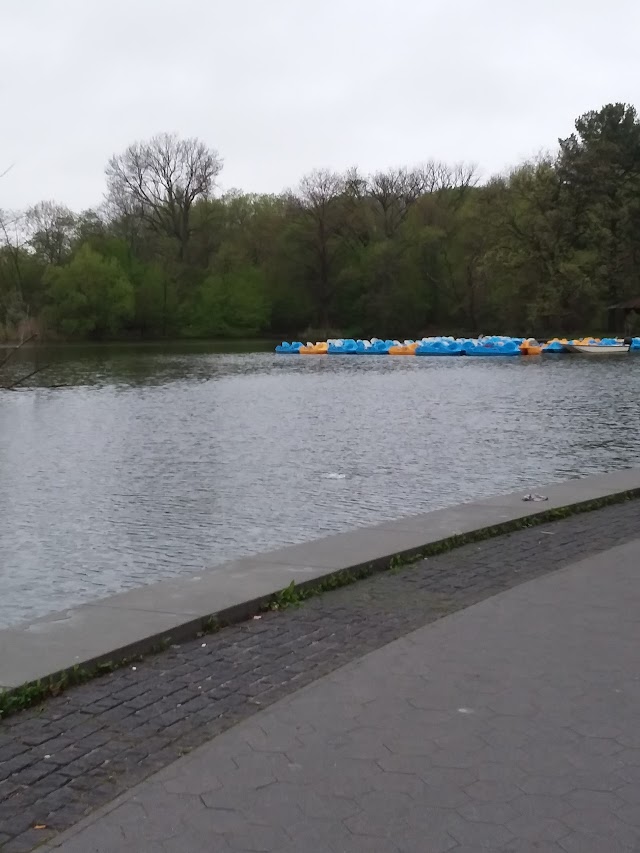 Prospect Park Lake