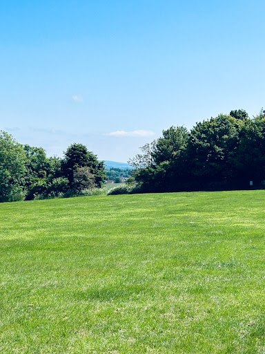 Widley Walk Car Parking
