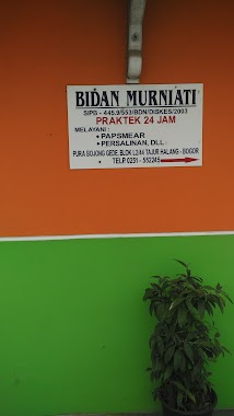 Klinik Bidan Murni, Author: Chairuddin Nur Lubis