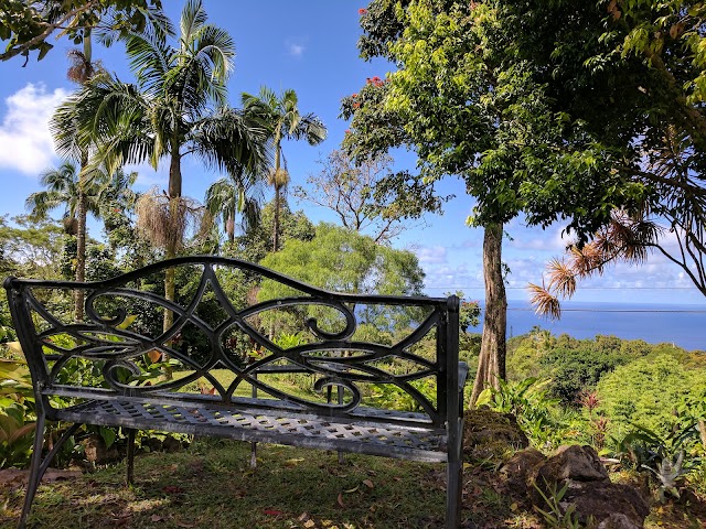 Nahiku Roadside
