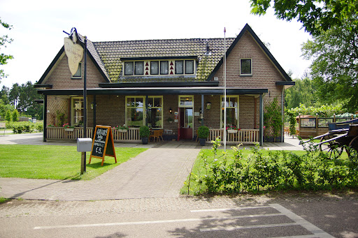 site_photo2