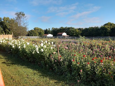 Plant Masters