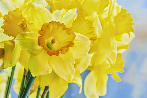 Fortin Gage Flowers & Gifts Gallery - United States