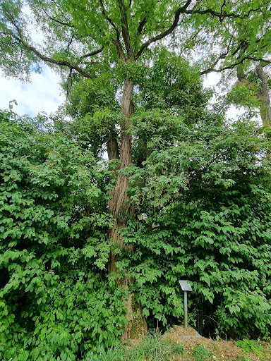Parc Reimerwee - Visual